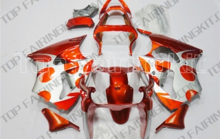 Aftermarket Motorcycle Fairings