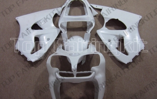 Aftermarket Motorcycle Fairings