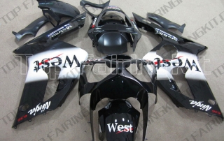 Aftermarket Motorcycle Fairings
