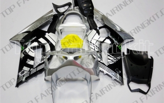 Aftermarket Motorcycle Fairings