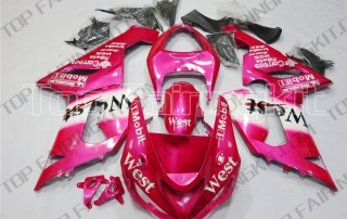 Aftermarket Motorcycle Fairings