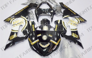 Aftermarket Motorcycle Fairings