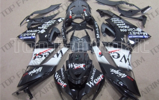 Aftermarket Motorcycle Fairings