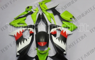 Aftermarket Motorcycle Fairings